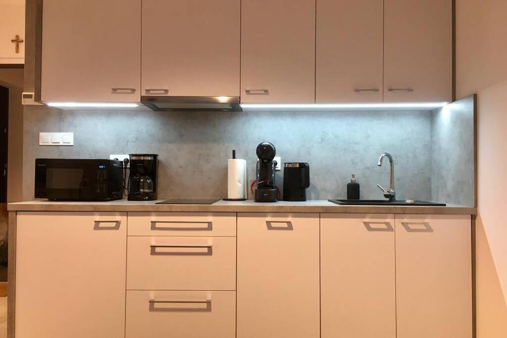 Apartament Fibra Brownie ريبنيك المظهر الخارجي الصورة